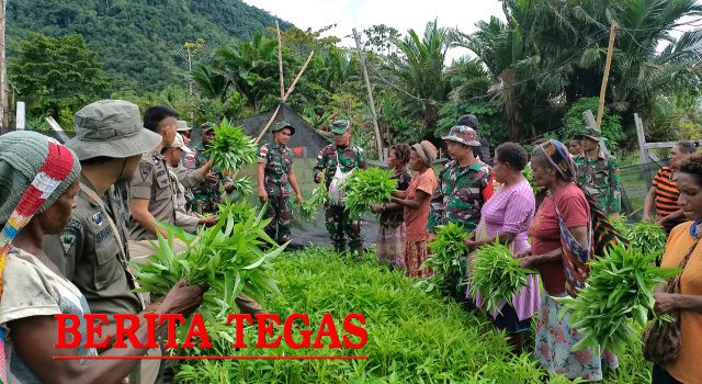 Kangkung