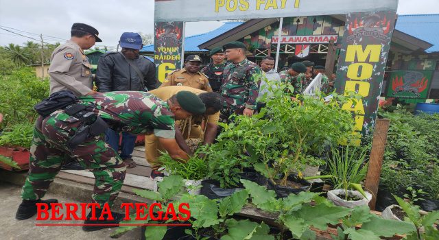 Budidaya Tanaman