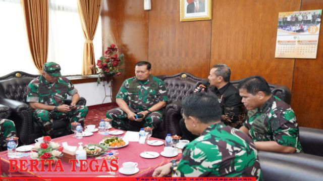 Panglima TNI