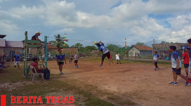 Volly ball